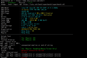 RAKsmart香港裸機(jī)云服務(wù)器E5-2620綜合評(píng)測(cè)視頻